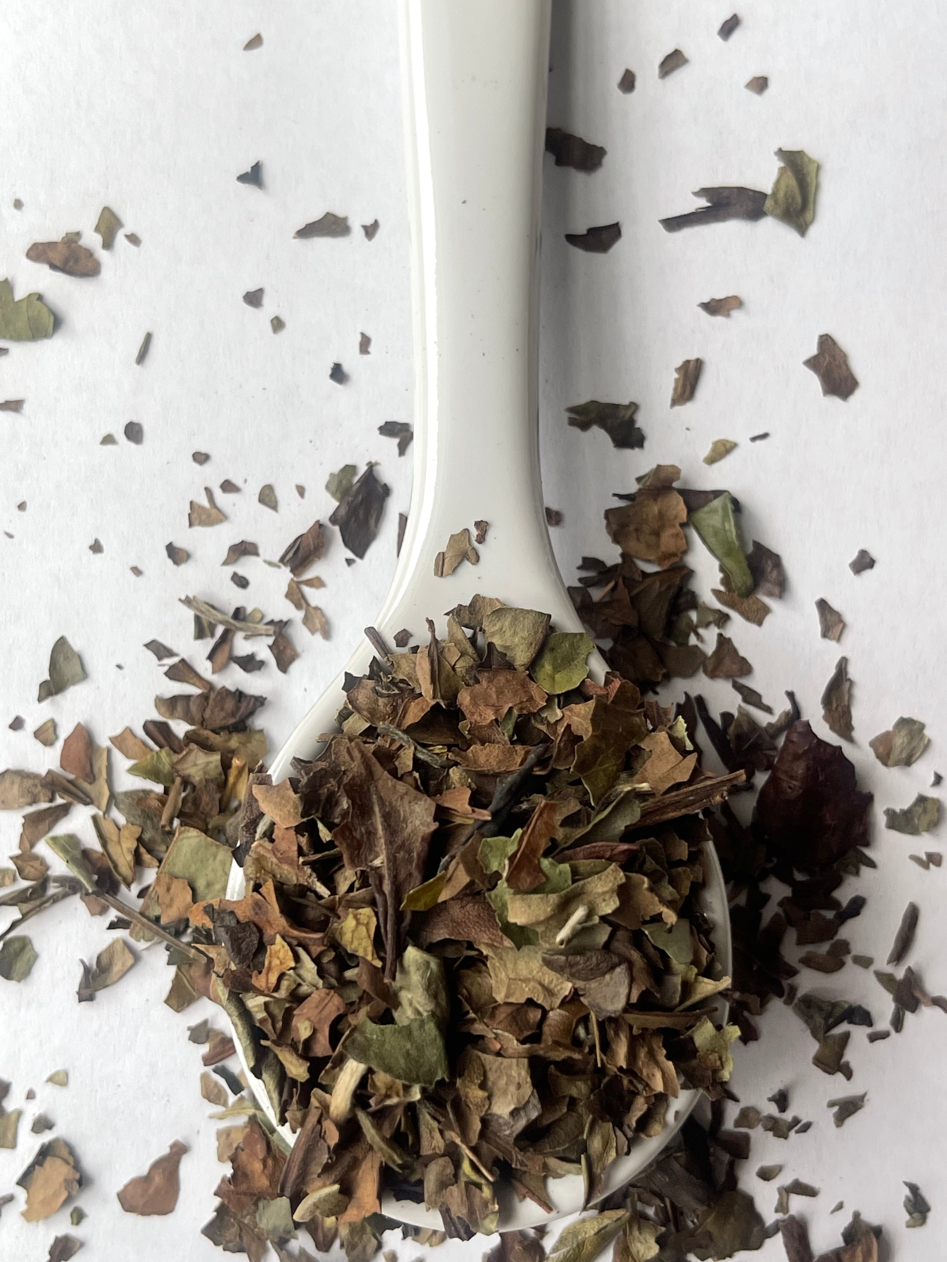 Ivory Bloom - Premium White Tea