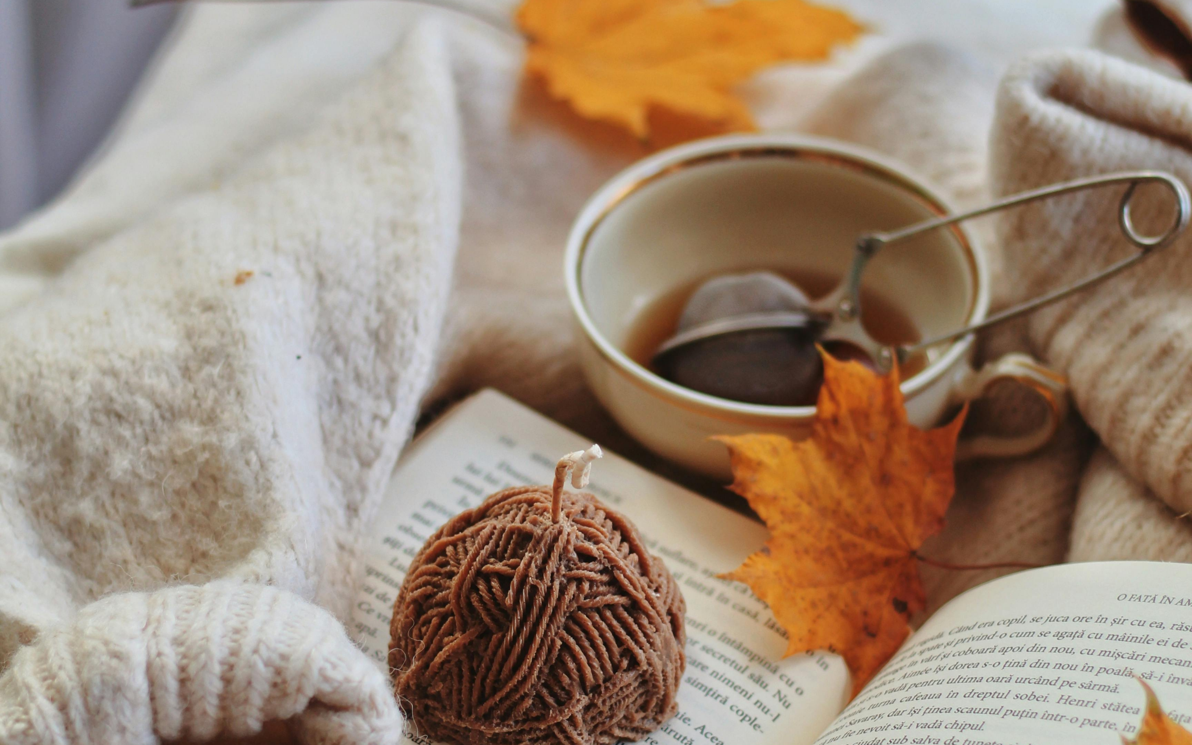 Fall Collection